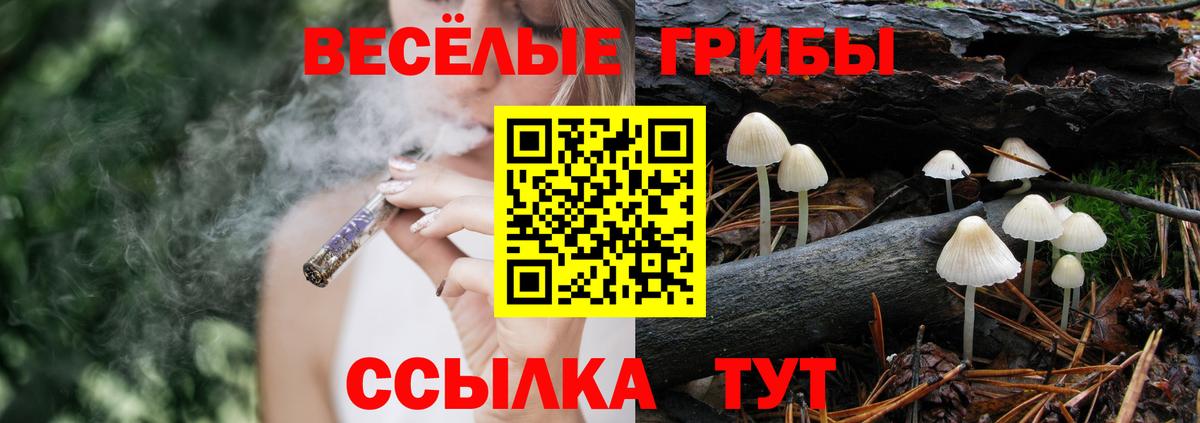 Галлюциногенные грибы MAGIC MUSHROOMS  Вход с VPN  Верхняя Салда 